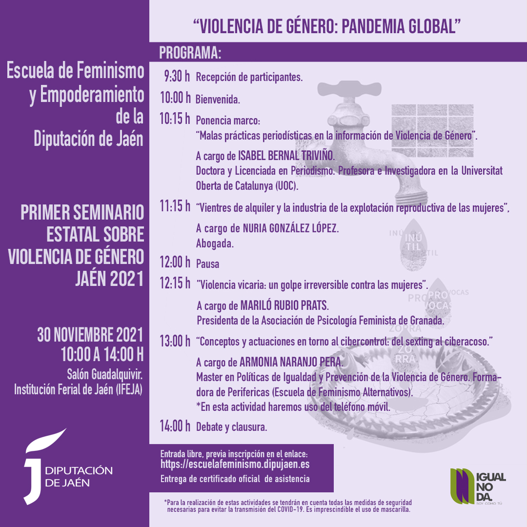 Curso- Historia de la teoría feminista -Escuela de Feminismo Diputación de Jaén