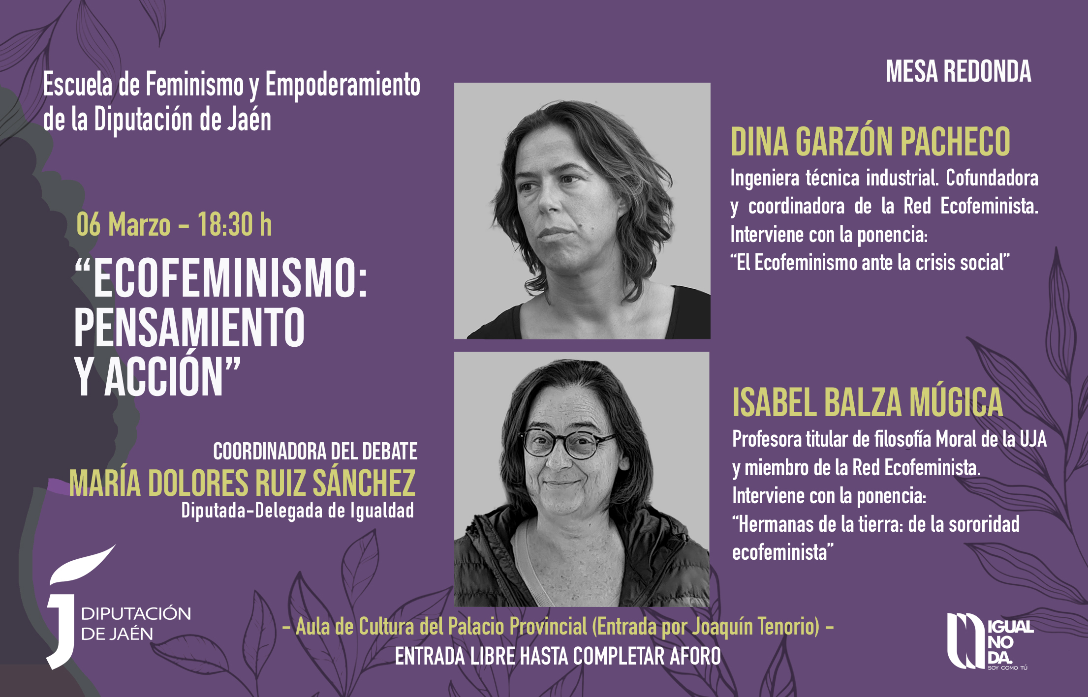 Curso- Historia de la teoría feminista -Escuela de Feminismo Diputación de Jaén